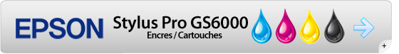Badge-GS6000