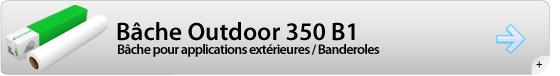 Badge550-BACHEO350