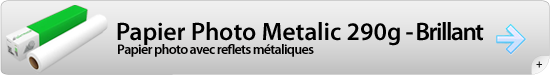 Badge550-Metalic290